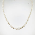 Freshwater Pearl Necklace