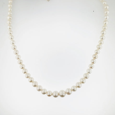 Freshwater Pearl Necklace