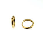 9ct Yellow Gold Huggie Earrings