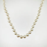 Freshwater Pearl Necklace