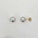 Freshwater Pearl 9ct Gold Earrings