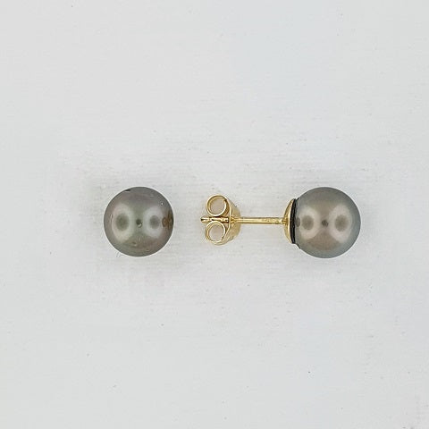 Tahitian Pearl 9ct Gold Earrings